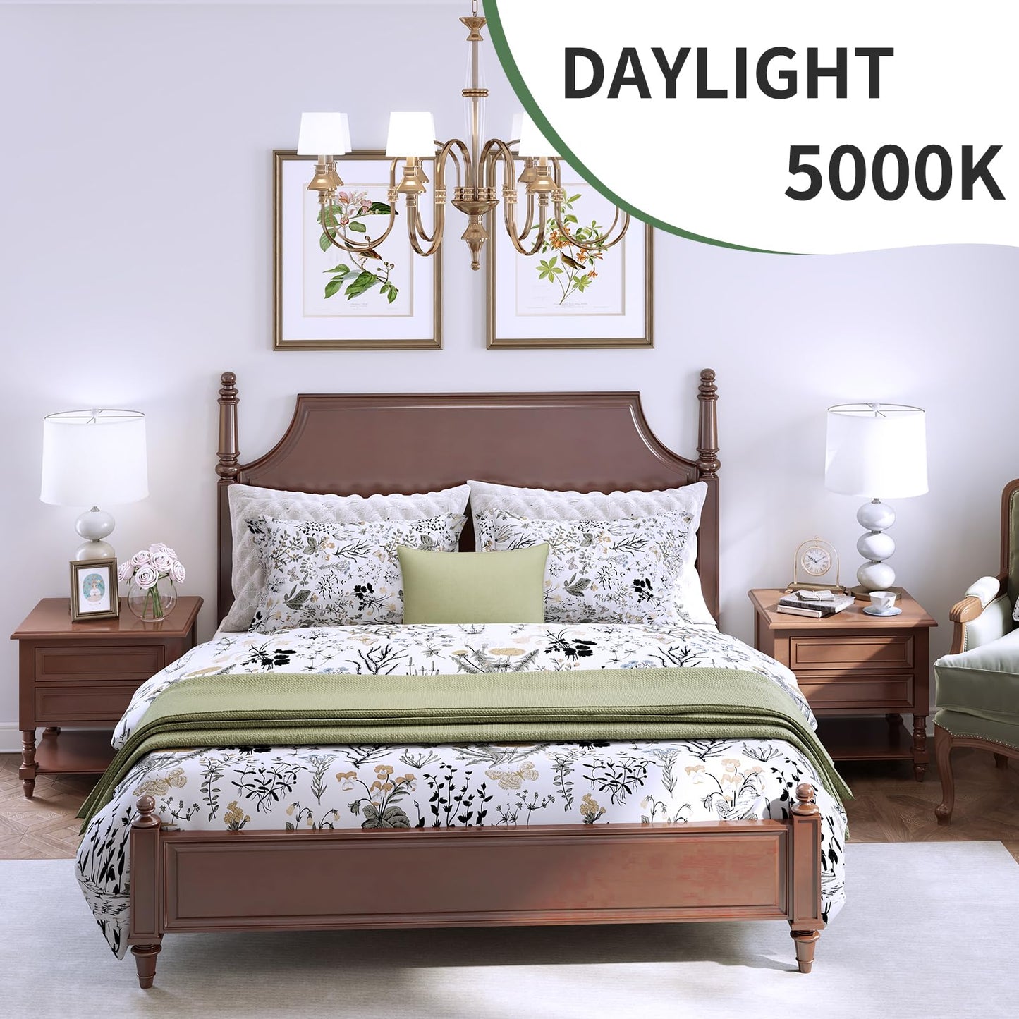 evelor A19 LED Light Bulbs,100 Watt Equivalent Daylight 5000K Efficient 13W,1500 Lumens Bright Lightbulbs,E26 Base, Non-Dimmable, 15000-Hour Lifespan for Bedroom, Living Room, Office, 6-Packs