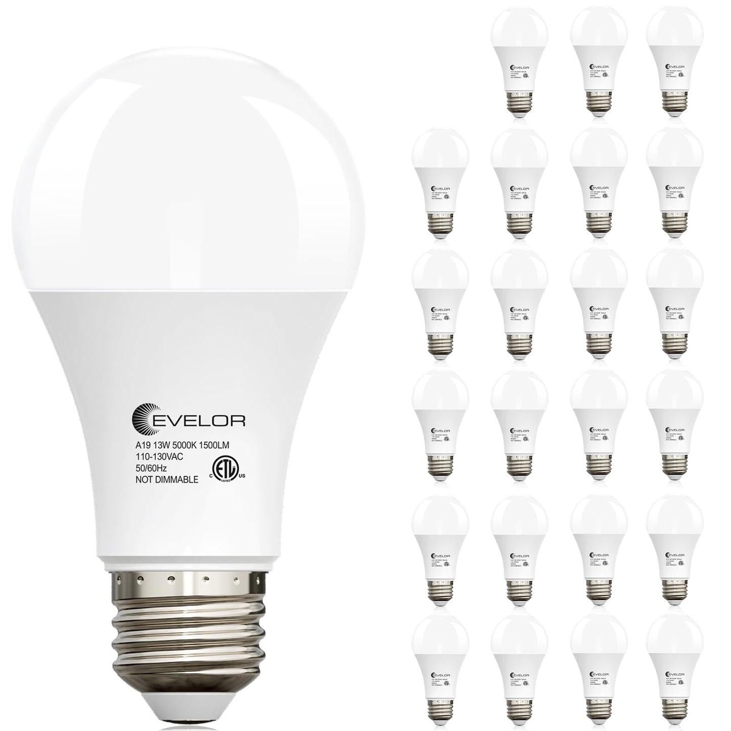 evelor A19 LED Light Bulbs,100 Watt Equivalent Daylight 5000K Efficient 13W,1500 Lumens Bright Lightbulbs,E26 Base, Non-Dimmable, 15000-Hour Lifespan for Bedroom, Living Room, Office, 6-Packs