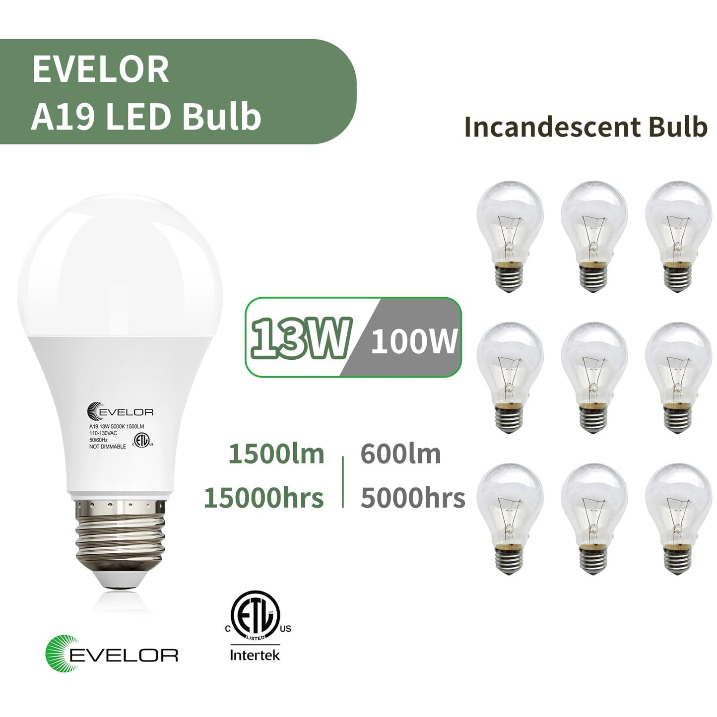 evelor A19 LED Light Bulbs,100 Watt Equivalent Daylight 5000K Efficient 13W,1500 Lumens Bright Lightbulbs,E26 Base, Non-Dimmable, 15000-Hour Lifespan for Bedroom, Living Room, Office, 6-Packs