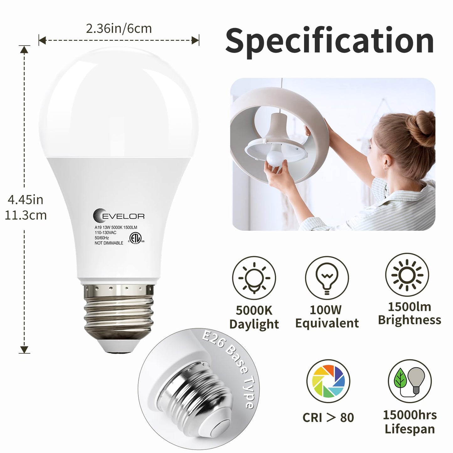 evelor A19 LED Light Bulbs,100 Watt Equivalent Daylight 5000K Efficient 13W,1500 Lumens Bright Lightbulbs,E26 Base, Non-Dimmable, 15000-Hour Lifespan for Bedroom, Living Room, Office, 6-Packs