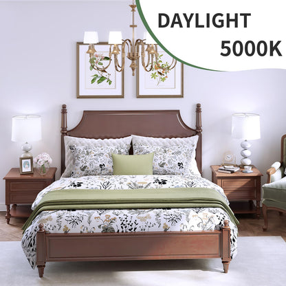 evelor A19 LED Light Bulbs,100 Watt Equivalent Daylight 5000K Efficient 13W,1500 Lumens Bright Lightbulbs,E26 Base, Non-Dimmable, 15000-Hour Lifespan for Bedroom, Living Room, Office, 6-Packs