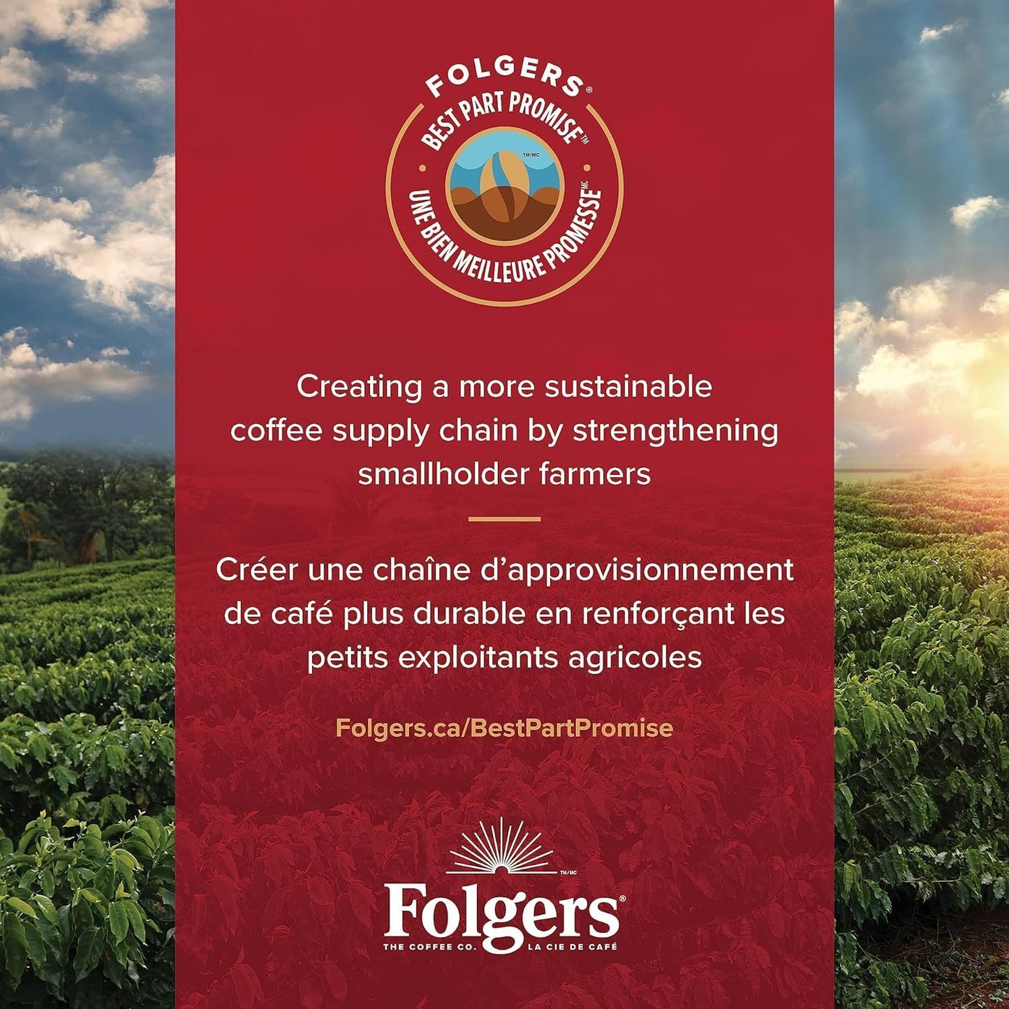 Folgers Classic Roast Medium Coffee Pods, Single Serve One Cup Pods made with Arabica Beans for Hot or Iced Drinks, 12 Count (Pack of 1)